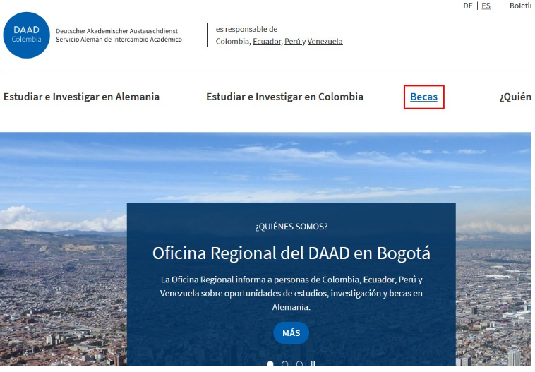 daad becas alemania