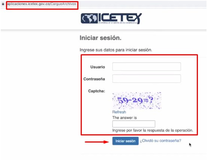 introducir datos Icetex