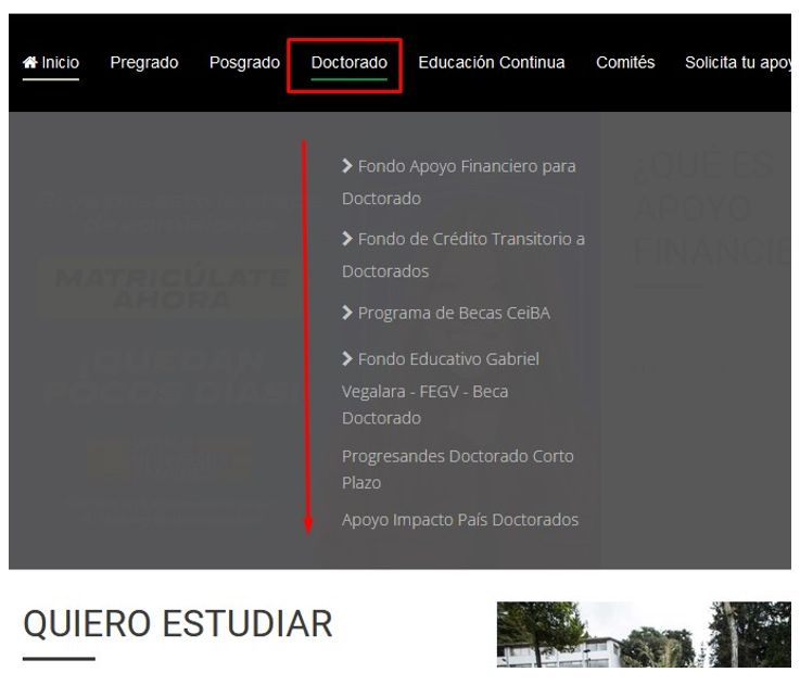 becas andes doctorado